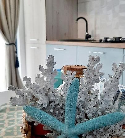 Soreo Residence Năvodari Eksteriør billede
